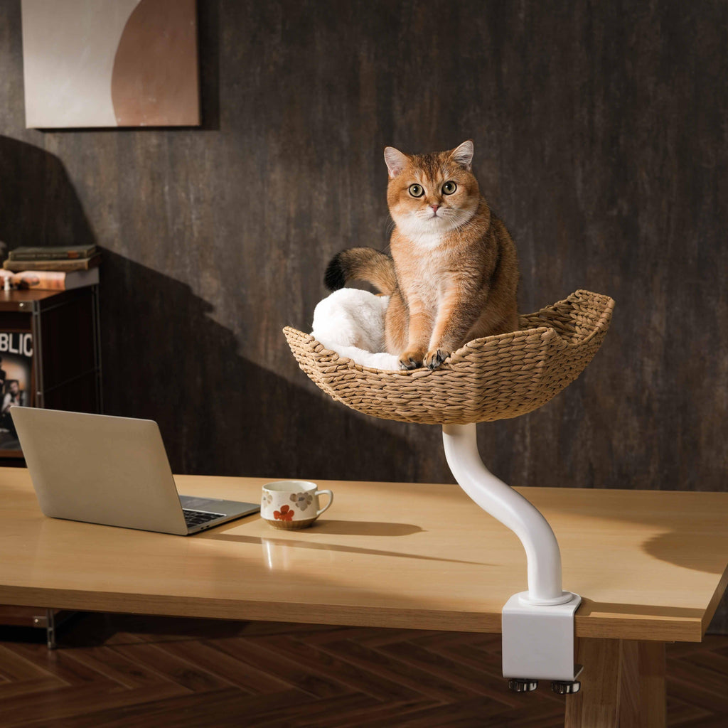 Desk Mounted Cat Tree product image 11