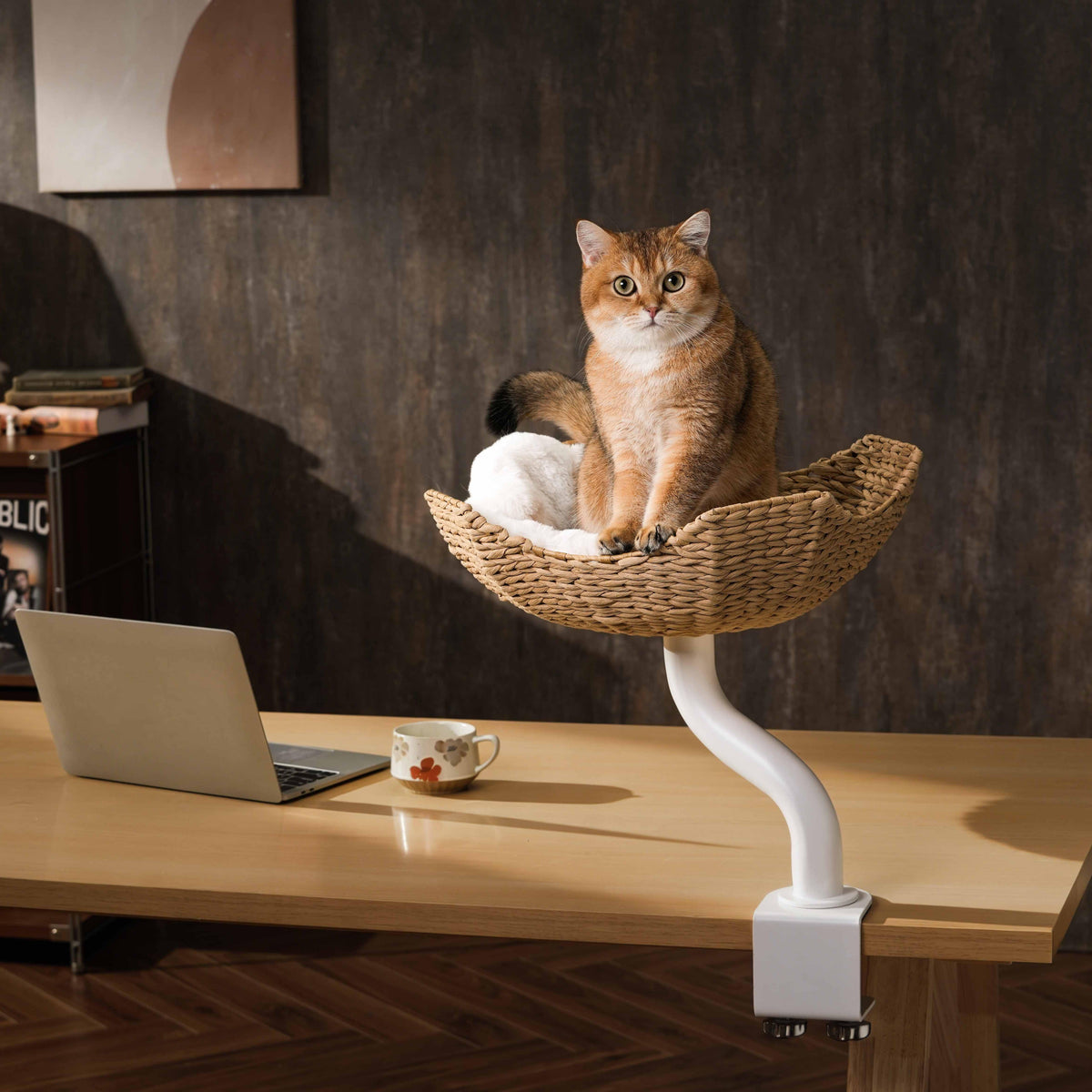 Desk Mounted Cat Tree product image 11