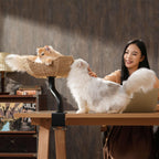 Desk Mounted Cat Tree product image 15