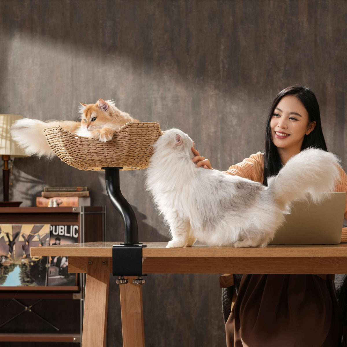 Desk Mounted Cat Tree product image 15