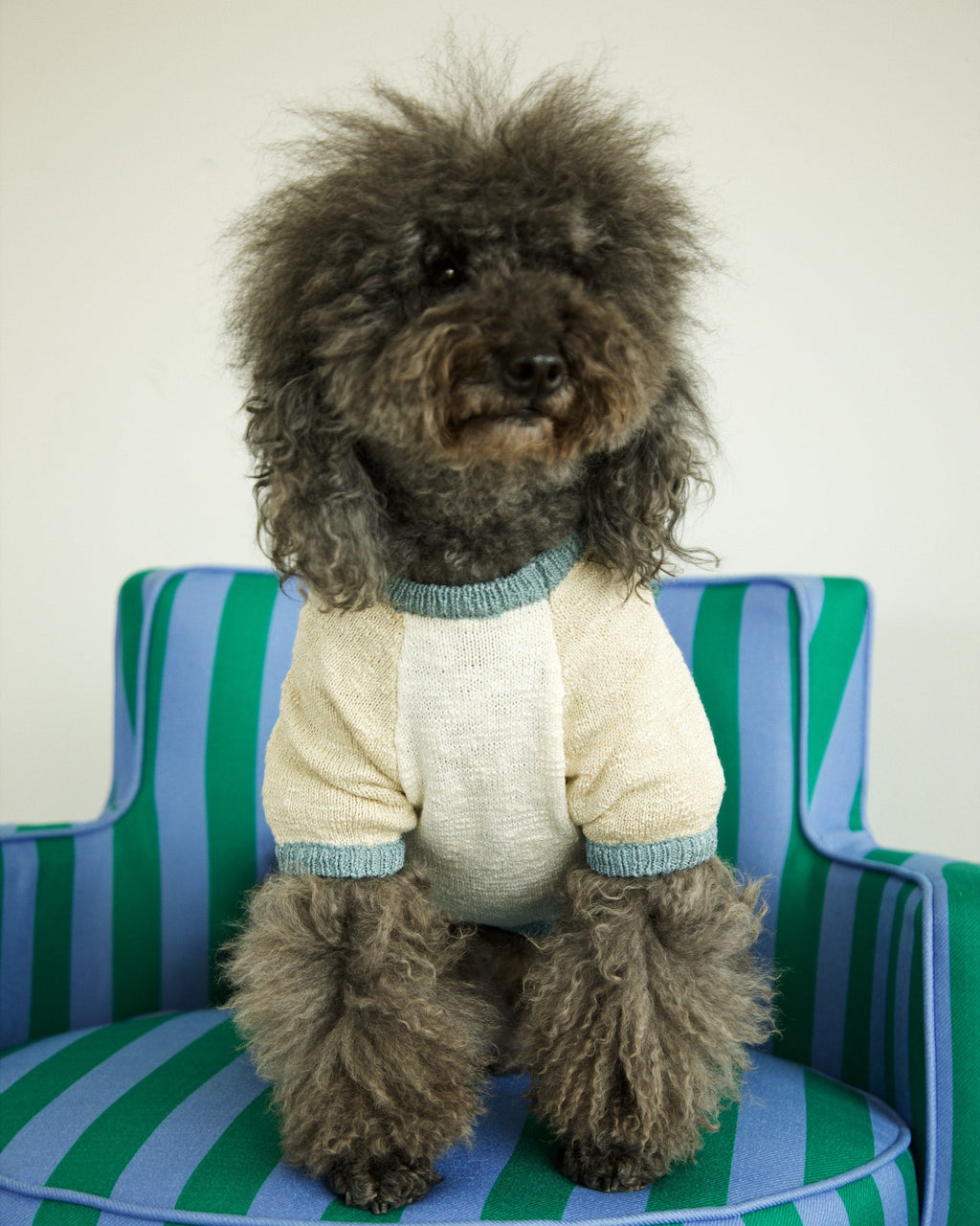 Dog Sweater product image 3
