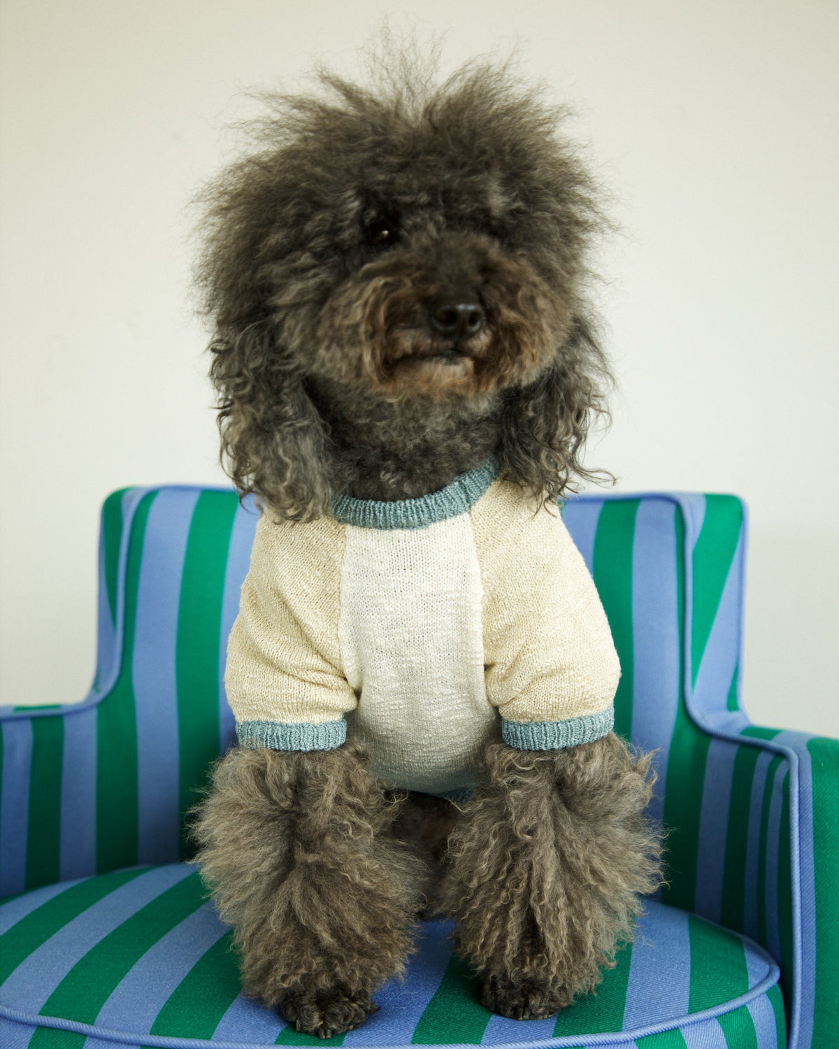 Dog Sweater product image 3