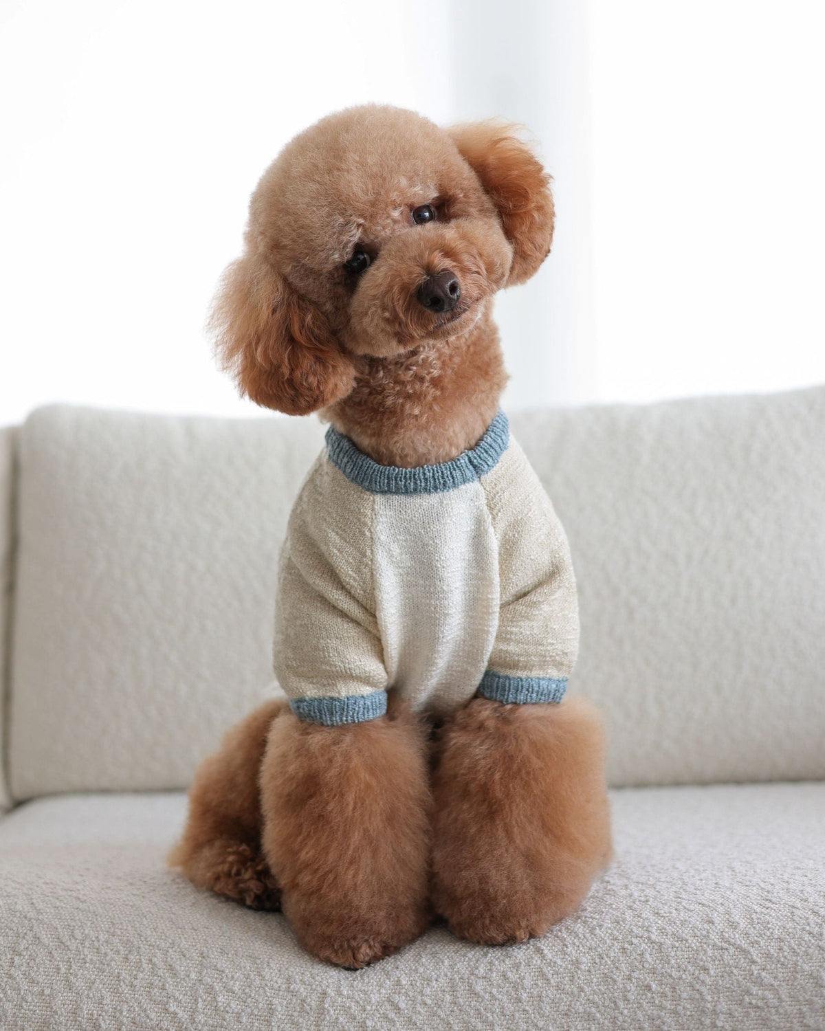 Dog Sweater product image 7