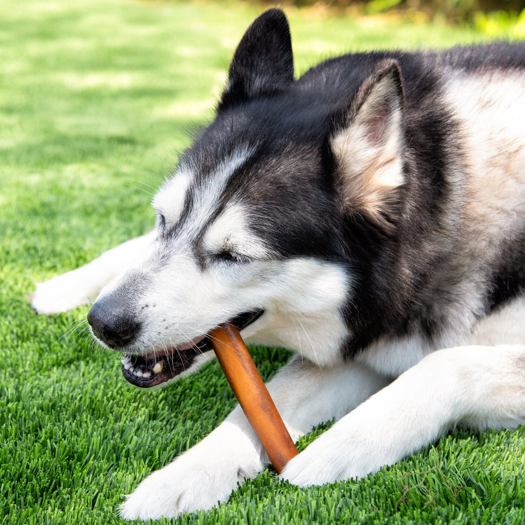 Dog Collagen Chews product image 3