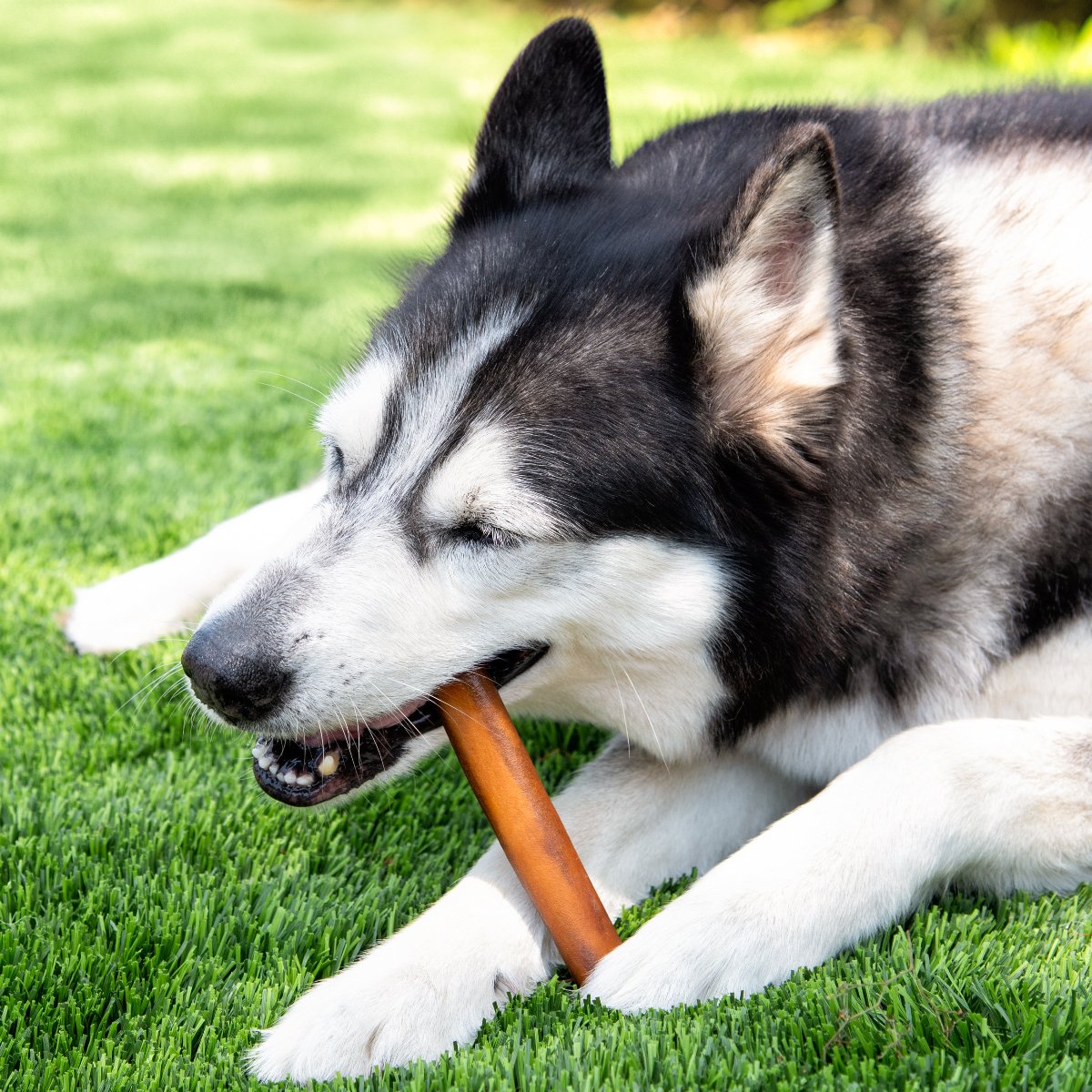 Dog Collagen Chews product image 3