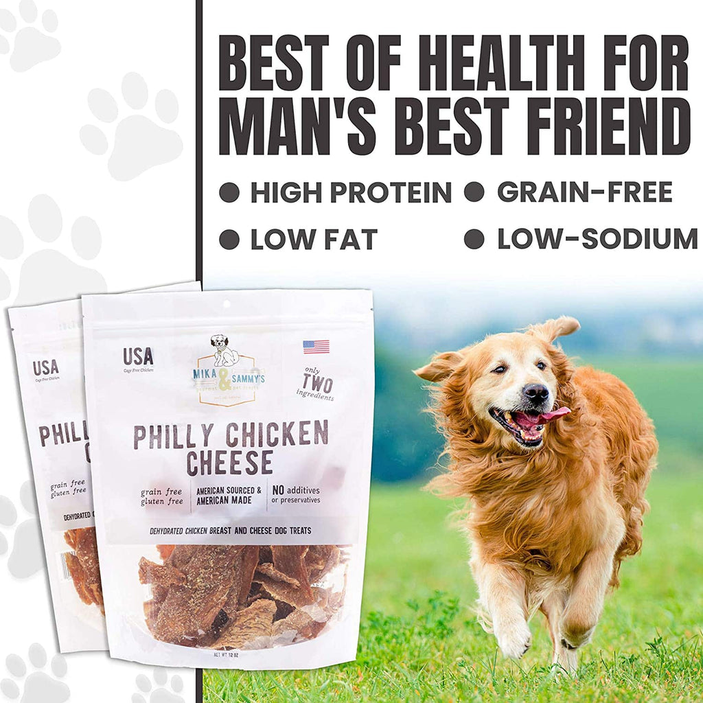 Golden retriever running beside two Philly Chicken Cheese treat bags with headline ‘Best of Health for Man’s Best Friend’
