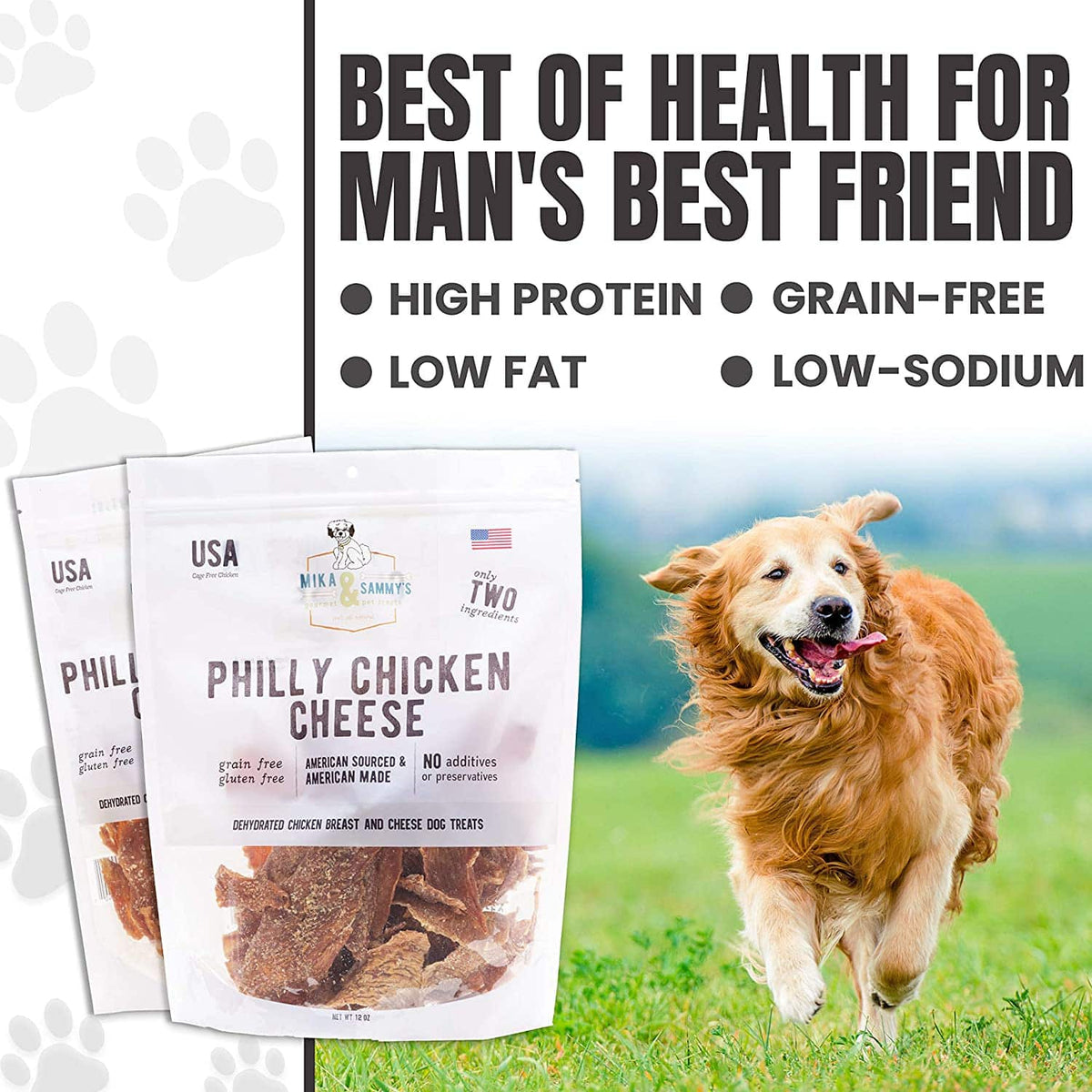 Golden retriever running beside two Philly Chicken Cheese treat bags with headline ‘Best of Health for Man’s Best Friend’