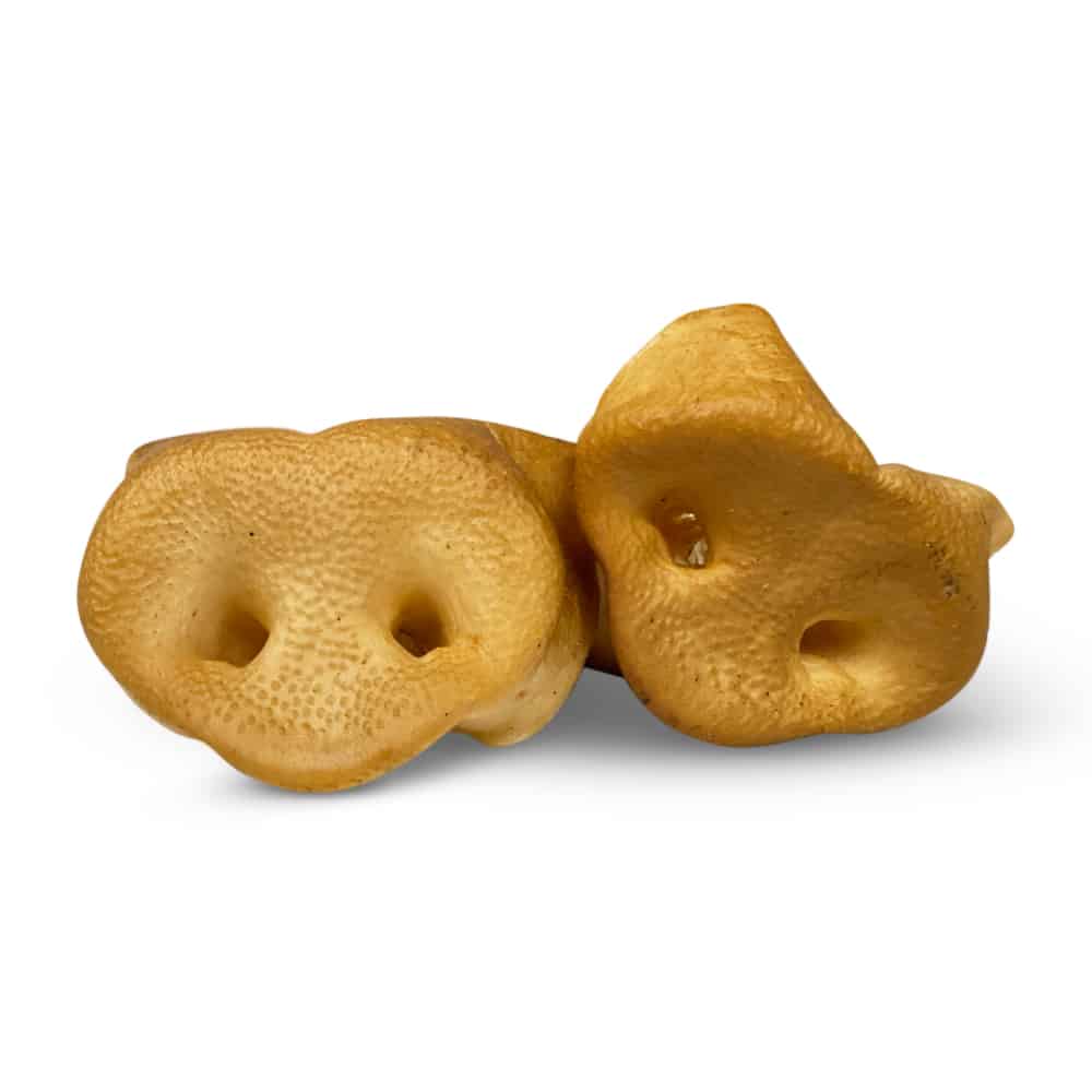 Dog Treats product image 1