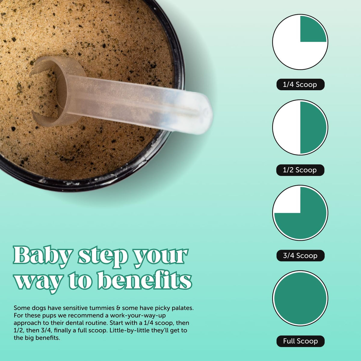 Dog Multivitamin and Dental Powder Bundle product image 5