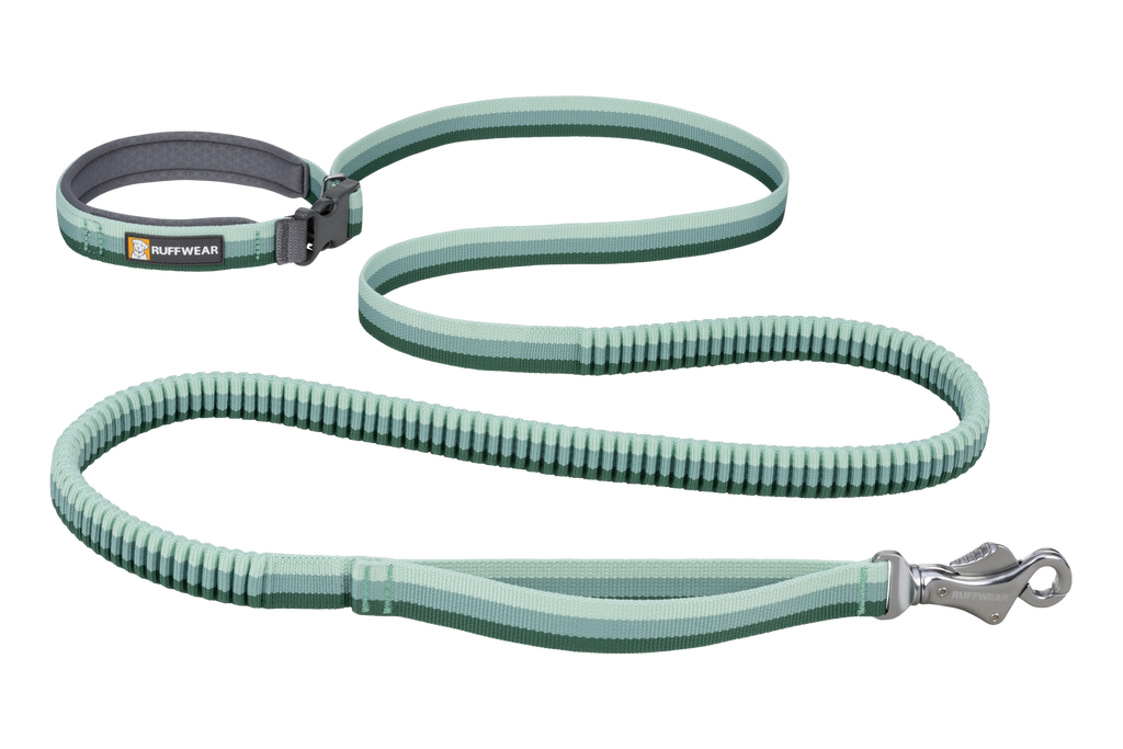 Hands-Free Bungee Dog Leash 5.5'-7' / River Rock Green (355)