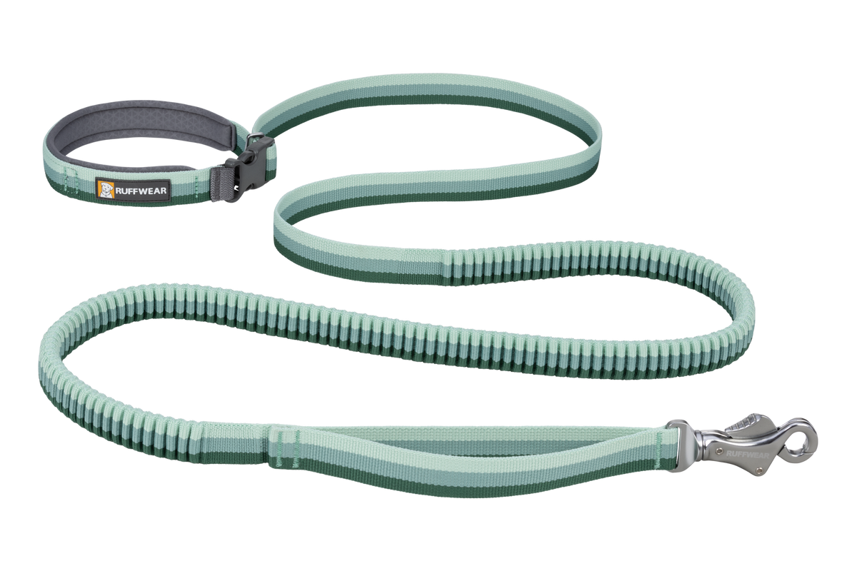 Hands-Free Bungee Dog Leash 5.5'-7' / River Rock Green (355)