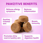 Dog Skin & Coat Supplement product image 4