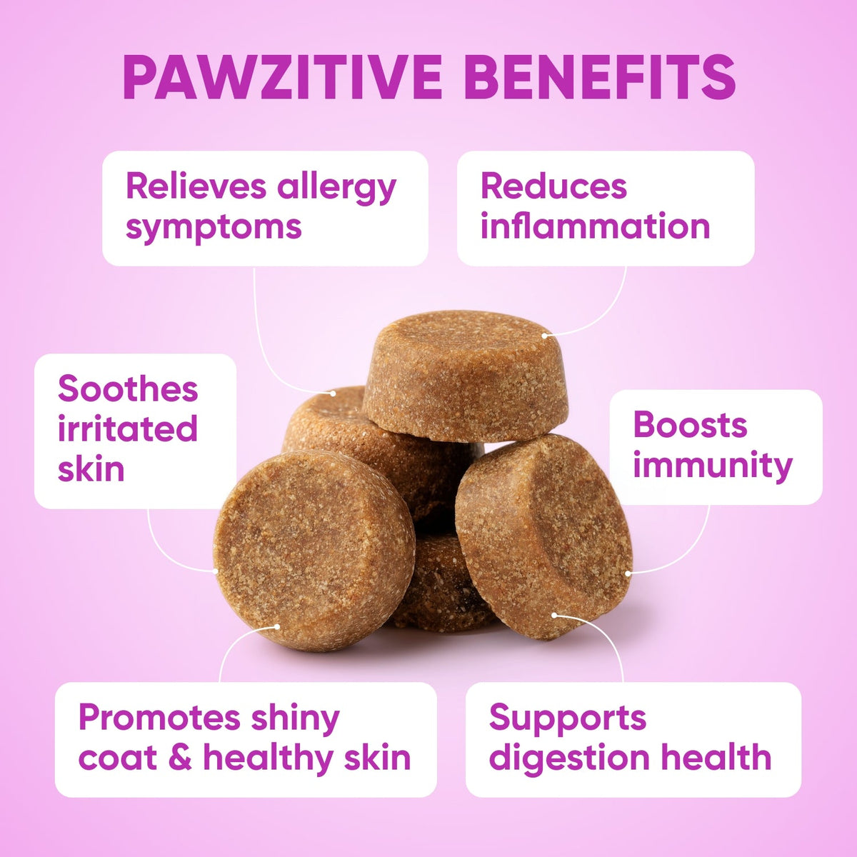 Dog Skin & Coat Supplement product image 4