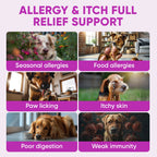 Dog Skin & Coat Supplement product image 8