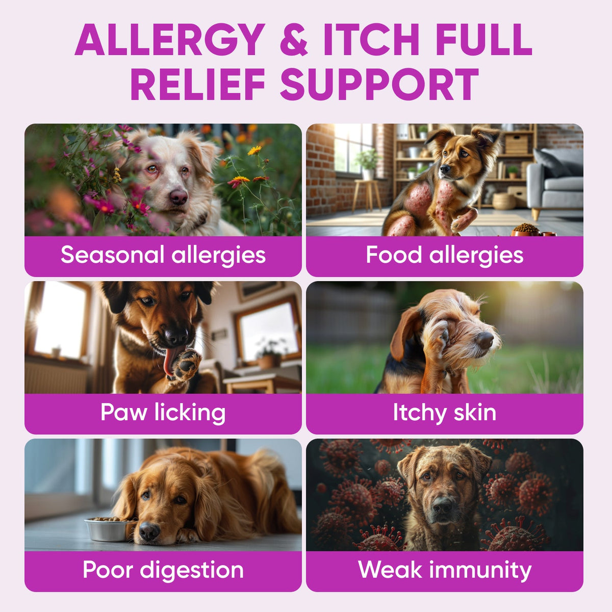 Dog Skin & Coat Supplement product image 8