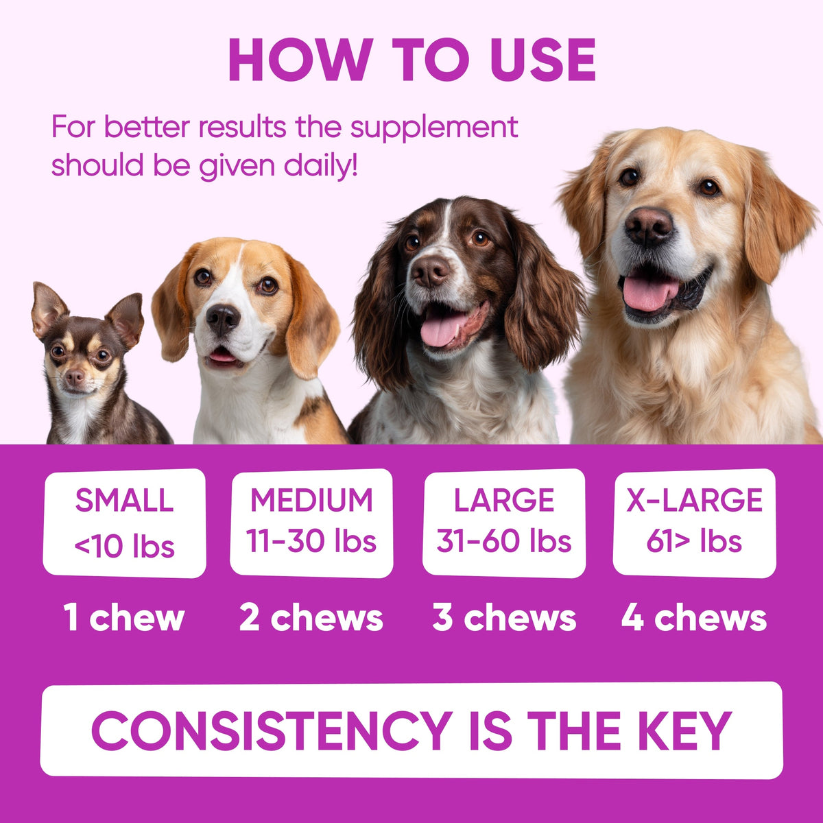 Dog Skin & Coat Supplement product image 10
