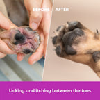 Dog Skin & Coat Supplement product image 11