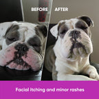 Dog Skin & Coat Supplement product image 12