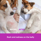Dog Skin & Coat Supplement product image 13