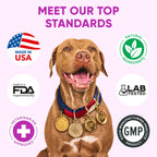 Dog Skin & Coat Supplement product image 15