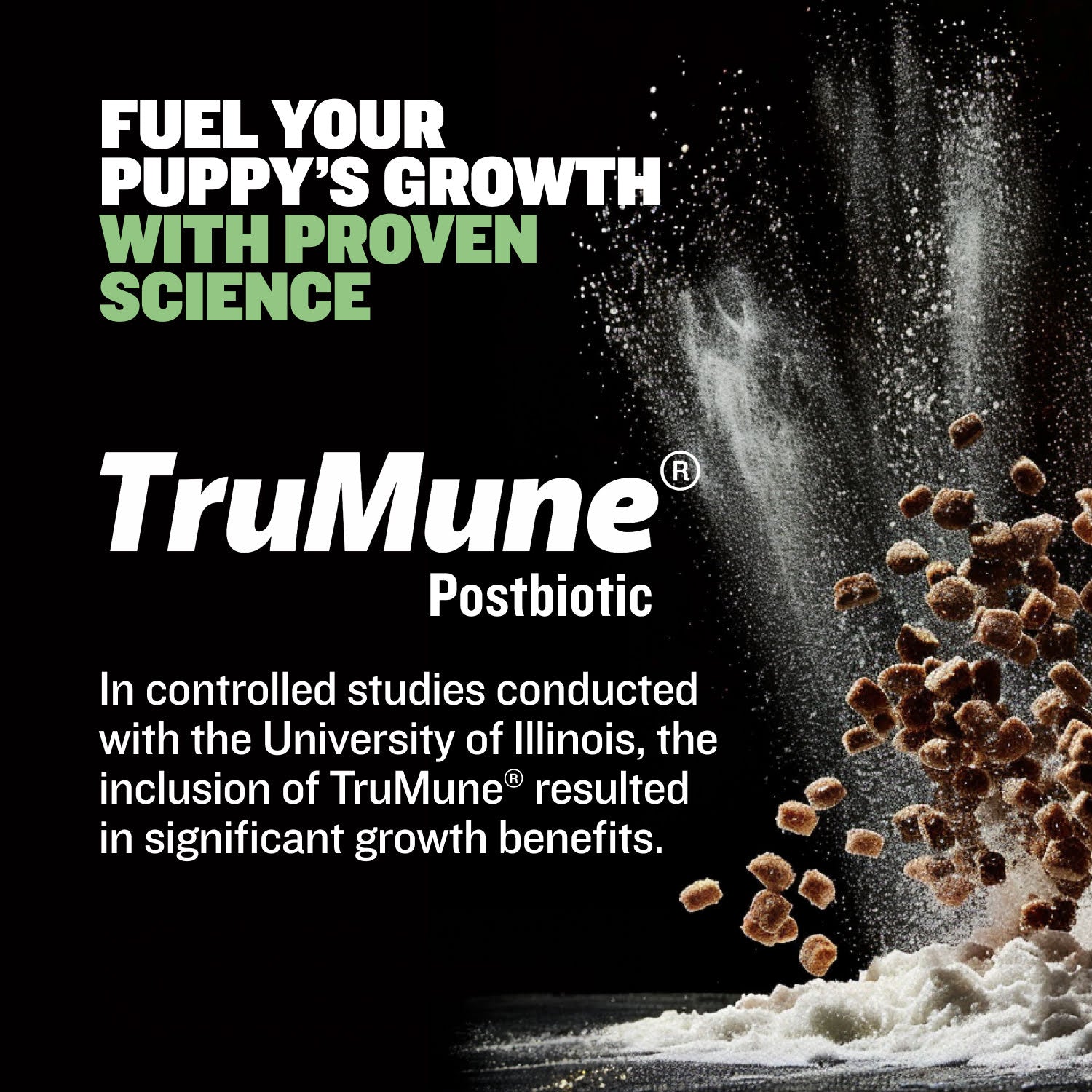 Puppy Nutrition Food Bundle product image 4