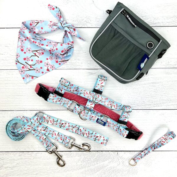 Dog Walking Bundle product image 1