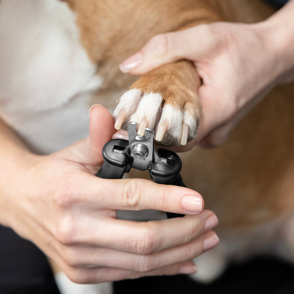 Pet Nail Clipper product image 2