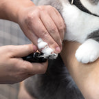 Pet Nail Clipper product image 3