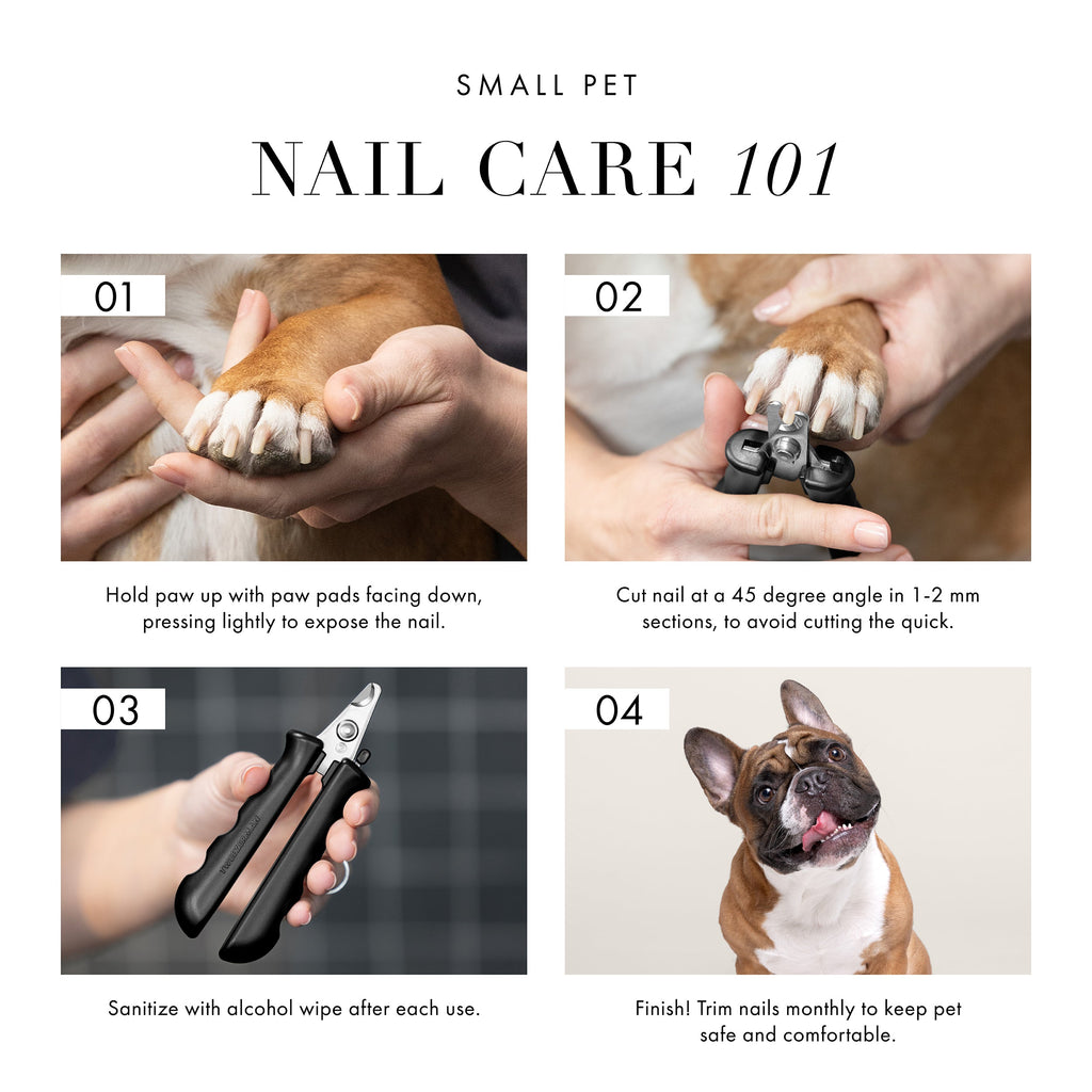 Pet Nail Clipper product image 11