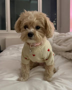 Dog Sweater product image 3