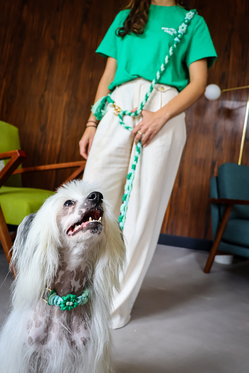 Hands-Free Dog Leash product image 1