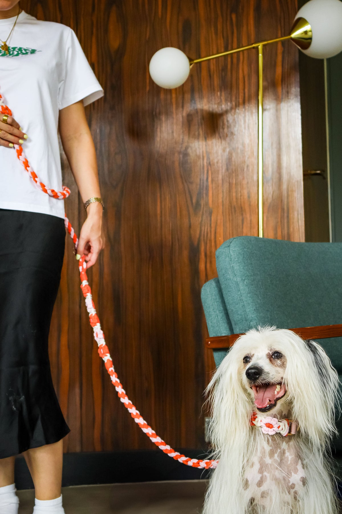 Hands-Free Dog Leash product image 2