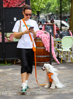 Hands-Free Dog Leash product image 2