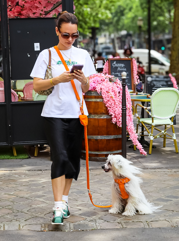 Hands-Free Dog Leash product image 2
