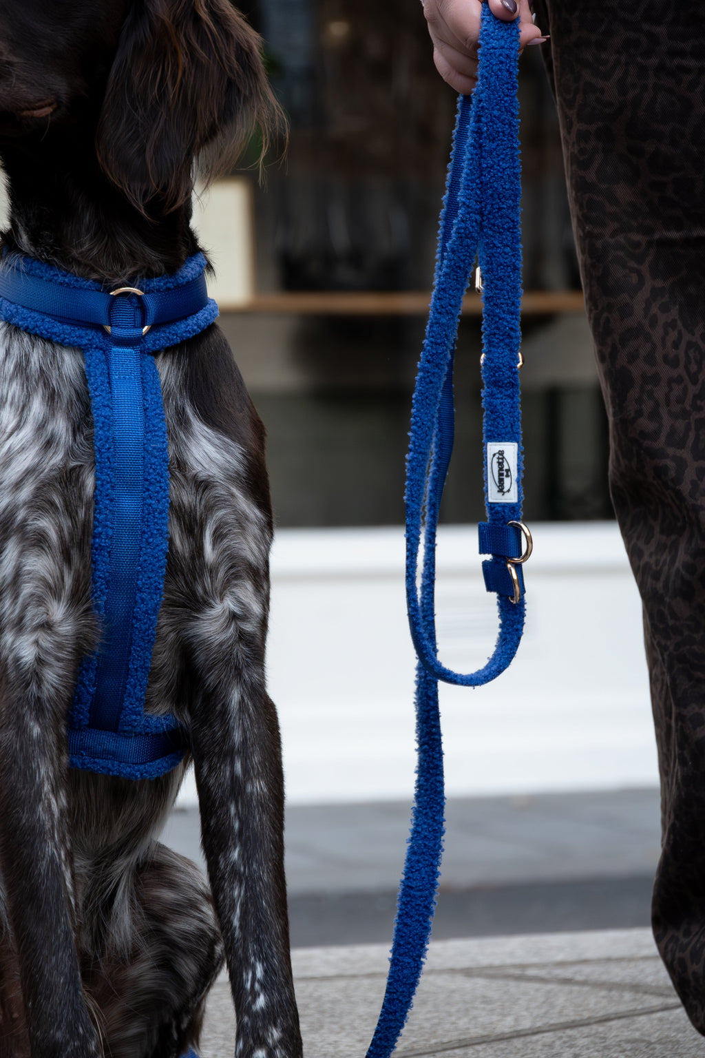 Hands-Free Dog Leash product image 3