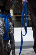 Hands-Free Dog Leash product image 3