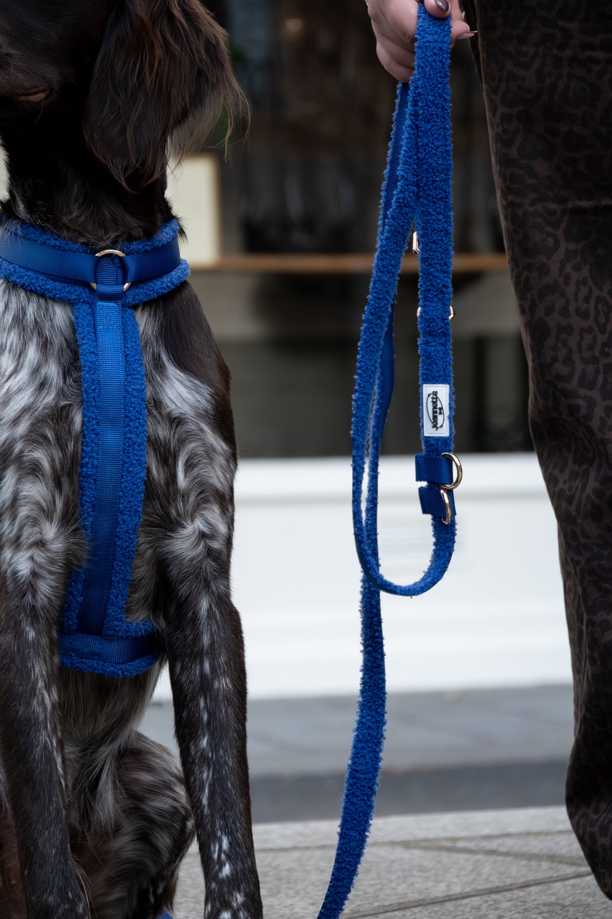Hands-Free Dog Leash product image 3