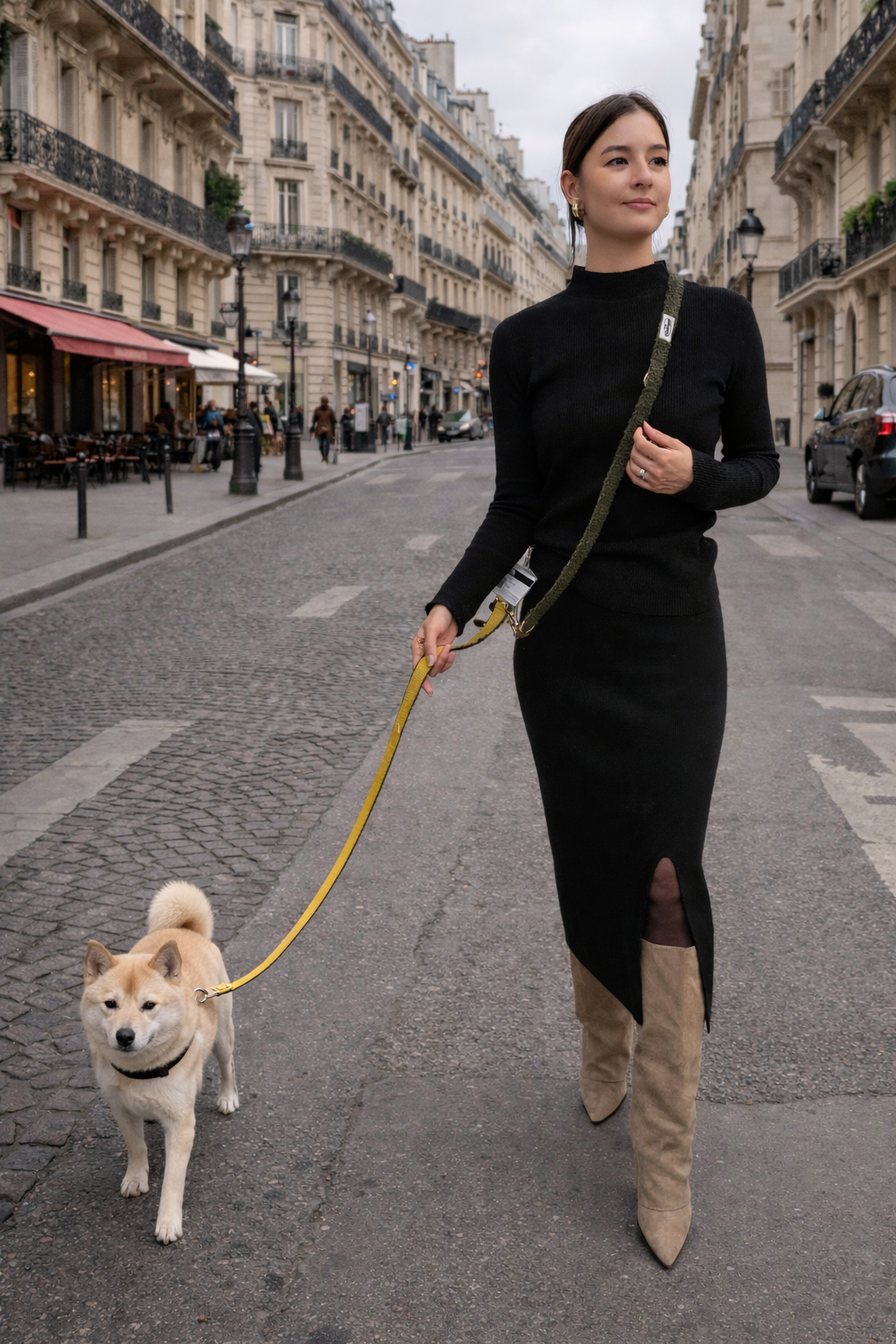 Hands-Free Dog Leash product image 6