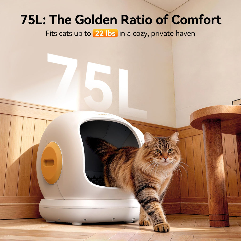 Meowant 75L automatic litter box, orange detail. Spacious comfort for cats up to 22 lbs.