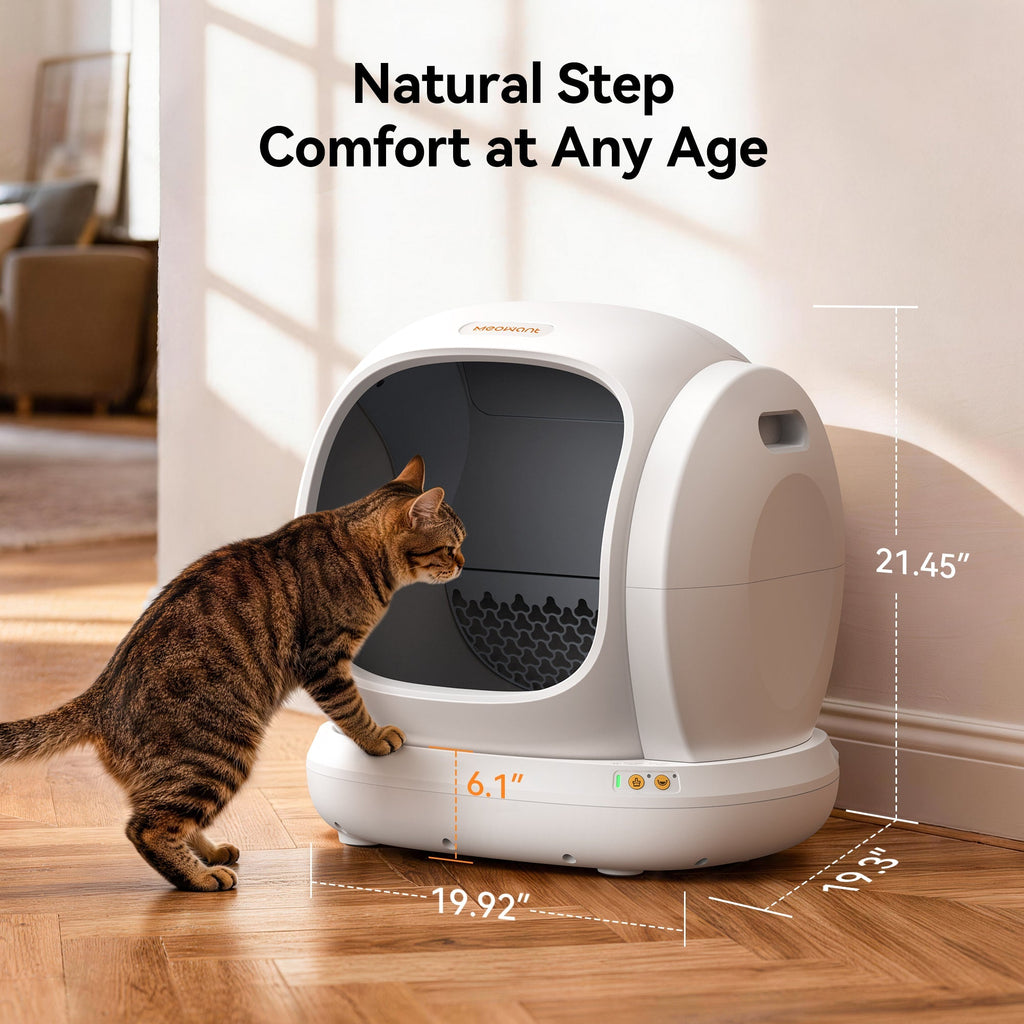 Meowant white self-cleaning litter box for cats, low entry, comfort any age.