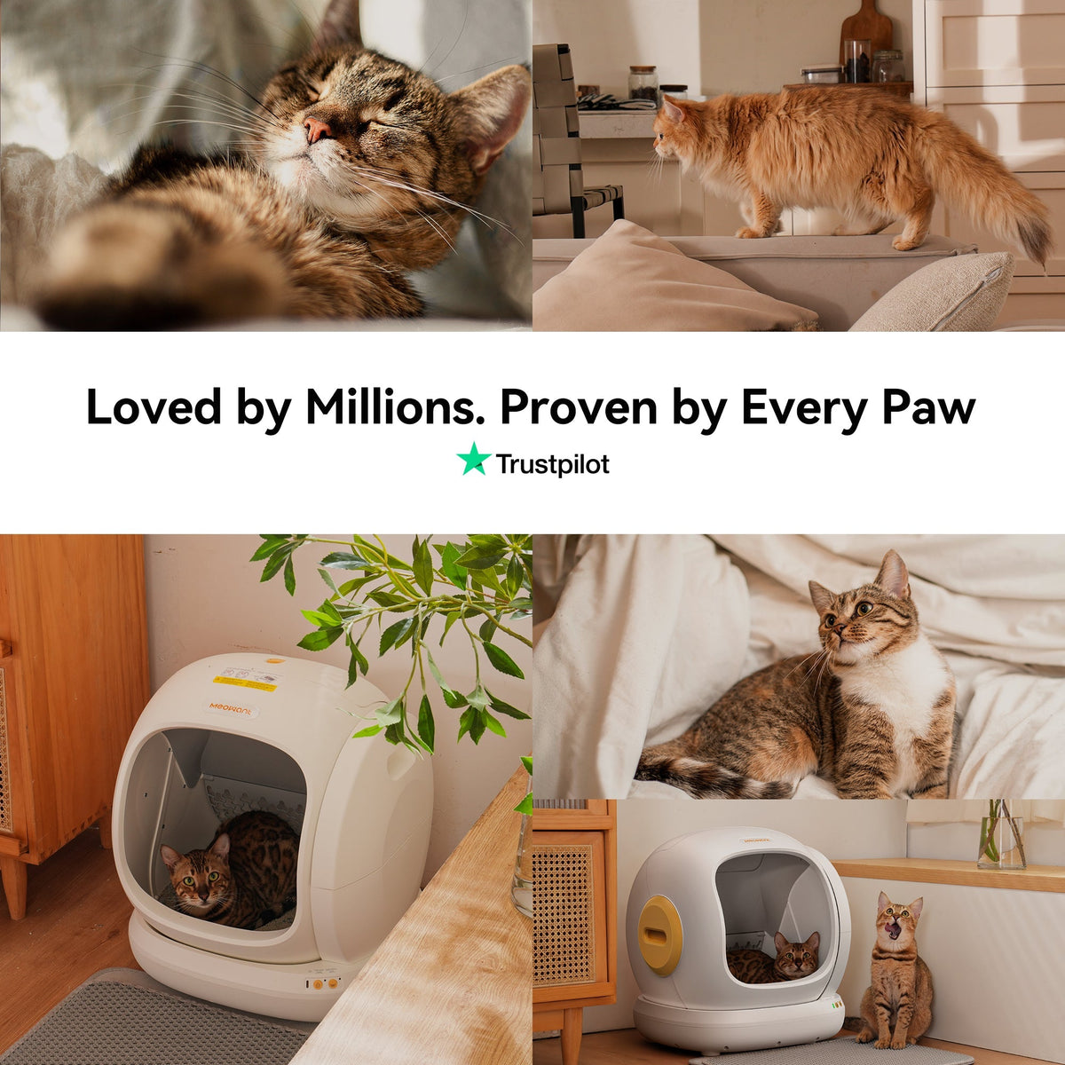 White Meowant self-cleaning litter box with cats, showcasing slogan 'Loved by Millions'