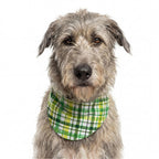Festive Dog Bandana product image 1