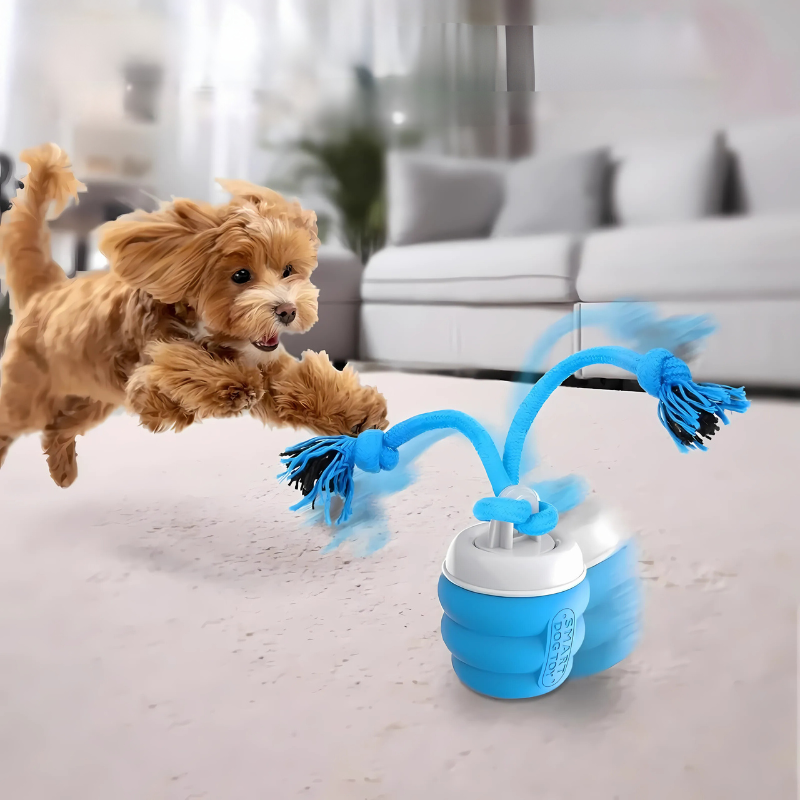 Interactive Puppy Dental Toy product image 1