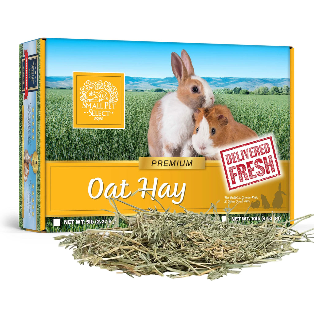 Oat Hay for Rabbits and Small Pets product image 1