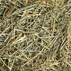 Oat Hay, :Smallpetselect