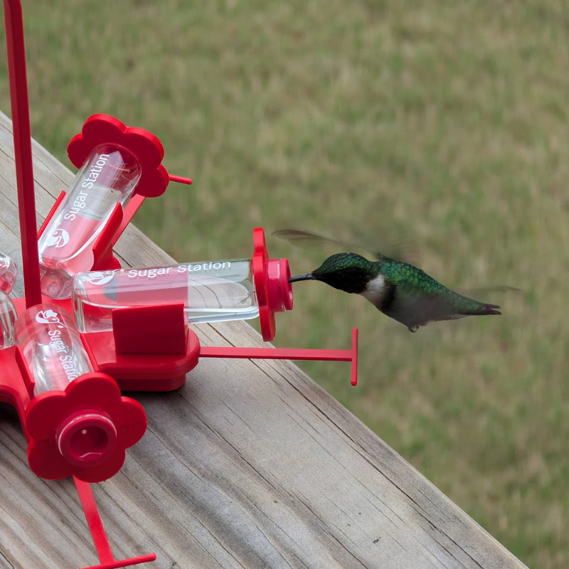 Hummingbird Feeder product image 1