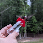 Hummingbird Feeder product image 3