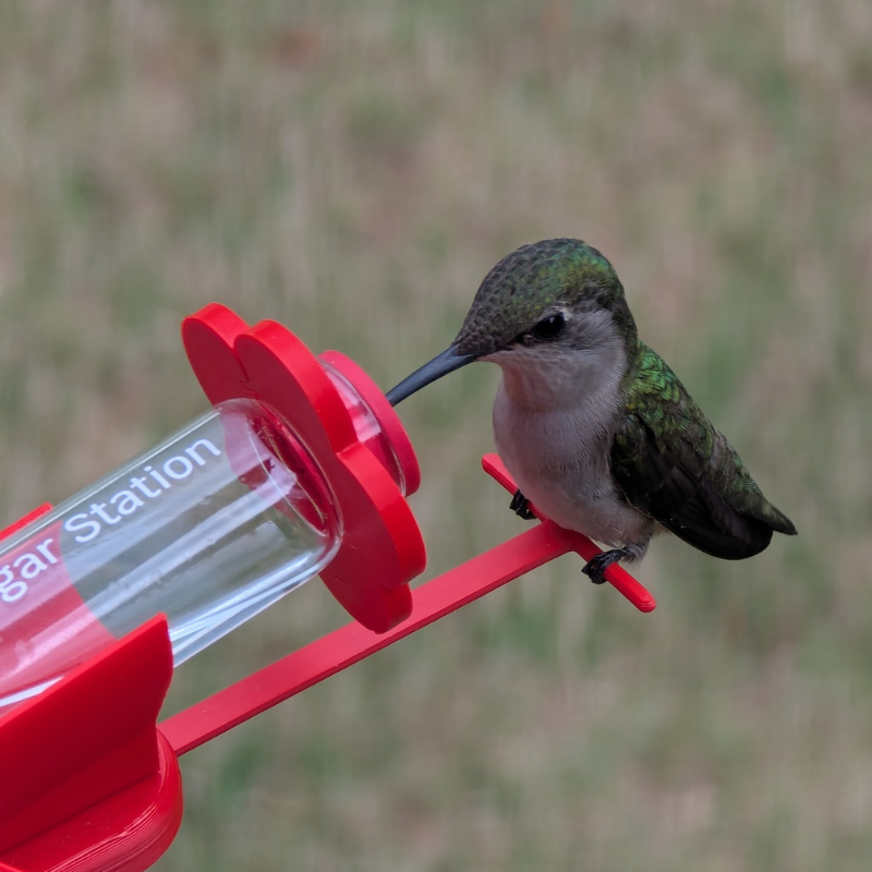 Hummingbird Feeder product image 6