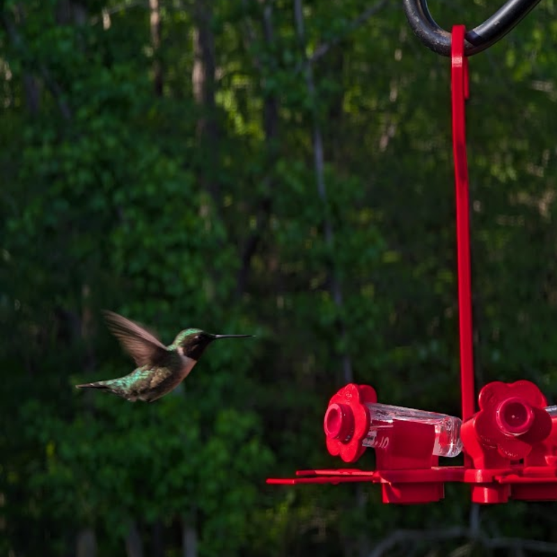Hummingbird Feeder product image 8