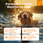 Dog Joint Supplement product image 3